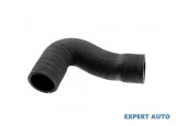 Furtun intercooler Volkswagen Golf 4 (1997-2005)[1J1] #1