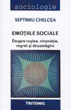 Emotiile sociale. Despre rusine, vinovatie, regret si dezamagire - Septimiu Chelcea