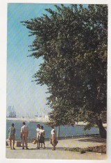 bnk cp Constanta - Pe faleza - uzata
