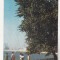 bnk cp Constanta - Pe faleza - uzata