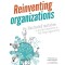 Reinventing Organizations: An Illustrated Invitation to Join the Conversation on Next-Stage Organizations