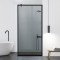 Paravan dus walk-in Aqua Roy Black, model Frame negru, sticla 8 mm gri, securizata, anticalcar, 120x195 cm