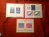 3 Blocuri ONU 1965 , 1970 , 1980