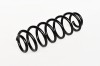 Arc Suspensie Spate 65955 NGH 02.03.025