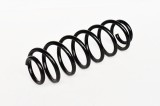 Arc Suspensie Spate 65955 NGH 02.03.025