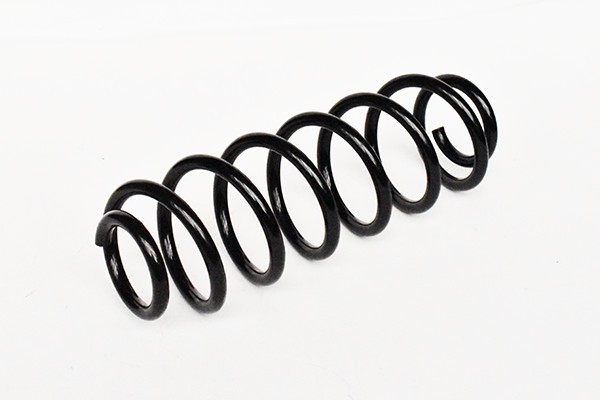 Arc Suspensie Spate 65955 NGH 02.03.025