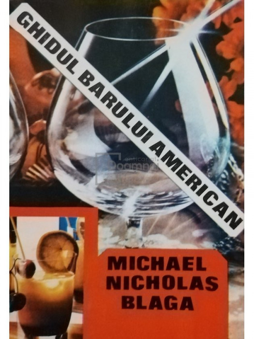 Michael Nicholas Blaga - Ghidul barului american (editia 1993)