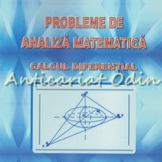 Probleme De Analiza Matematica. Calcul Diferential - Rodica Luca-Tudorache