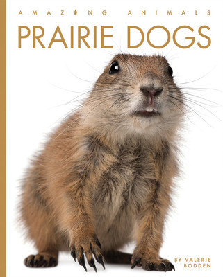 Prairie Dogs foto