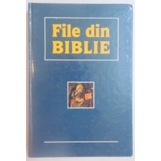 FILE DIN BIBLIE , 1990