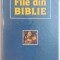 FILE DIN BIBLIE , 1990