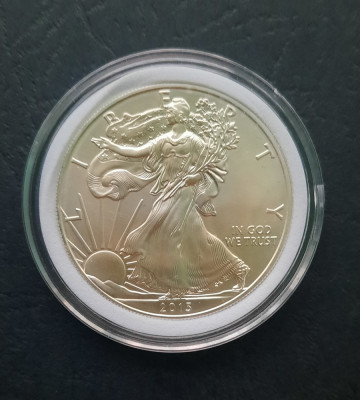 1 Silver Dollar 2013 USA - Bullion Coin - G 4304 foto