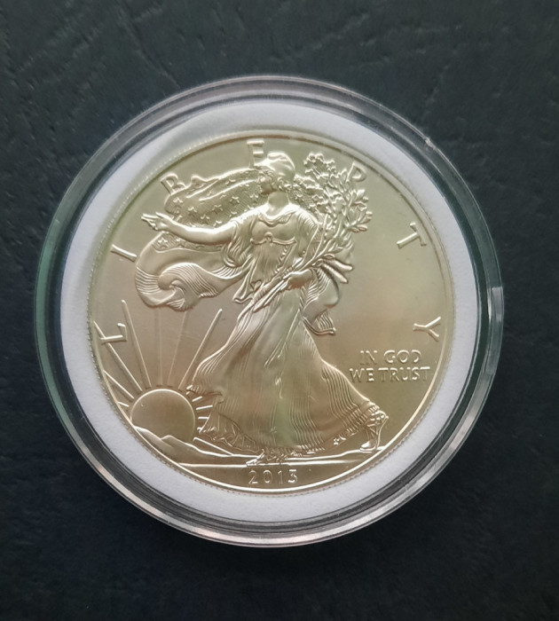 1 Silver Dollar 2013 USA - Bullion Coin - G 4304