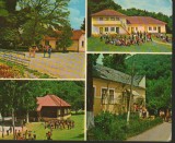 CPI B12318 CARTE POSTALA - TIMIS. CALACEA BAI, BOGDA, POIENI STAMBU, POIENI SAT