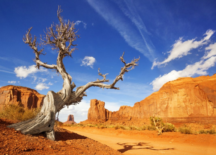 Fototapet Natura173 Arizona Grand Canyon, 250 x 200 cm