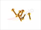Cumpara ieftin Lichidare: Surub M5x30 Allen plat, culoare aurie - VIC-TA530OR