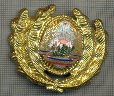 Y 1567 INSIGNA-MILITARA-EMBLEMA COIFURA- OFITER -RSR -PENTRU COLECTIONARI foto
