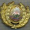 Y 1567 INSIGNA-MILITARA-EMBLEMA COIFURA- OFITER -RSR -PENTRU COLECTIONARI