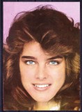 AMS - ILUSTRATA 546 BROOKE SHIELDS, NECIRCULATA, Printata