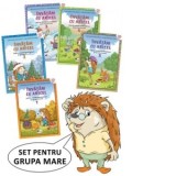 Invatam cu Aricel. Set 5 module pentru grupa mare 5-6 ani