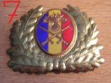 QW14 - Emblema militara / cuc - uscat - anii 1990 - piesa de colectie