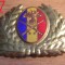 QW14 - Emblema militara / cuc - uscat - anii 1990 - piesa de colectie
