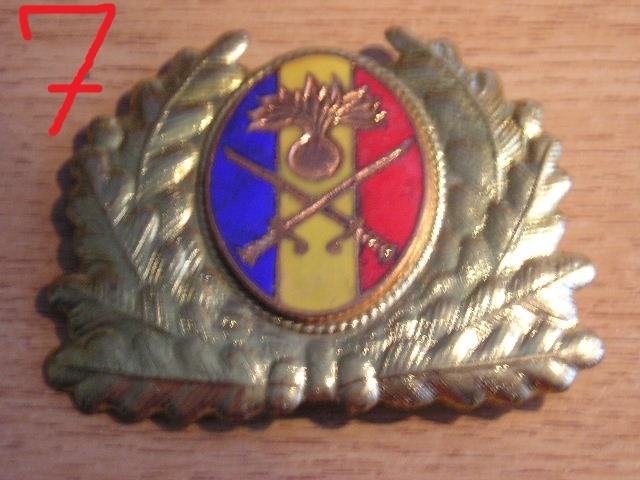 QW14 - Emblema militara / cuc - uscat - anii 1990 - piesa de colectie