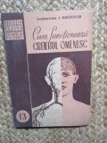 A. Kreindler - Cum functioneaza creierul omenesc