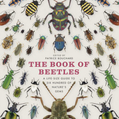 The Book of Beetles: A Life-Size Guide to Six Hundred of Nature's Gems