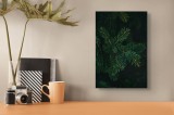 Tablou Canvas, "Crenguțe de brad &icirc;n &icirc;ntuneric", Ace, Verde, Frunziș, &Icirc;ntuneric, Natură, Detaliu, Textură, Calm, Mușchi, Organic, 26 x 39 cm, CMCLASS