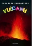 DVD Enciclopedia Junior nr. 26. Pasi spre cunoastere - Vulcanii (carte + DVD)