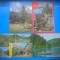 HOPCT LOT 3827 -IP- 4 CARTI POSTALE-LACU ROSU -JUD HARGHITA-CIRCULATE