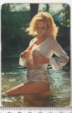 bnk cld Calendar de buzunar - 1976 - femeie sexy