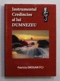 INSTRUMENTUL CREDINCIOS AL LUI DUMNEZEU de PATRICIA GROGAN FCJ , ANII &#039;2000