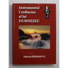 INSTRUMENTUL CREDINCIOS AL LUI DUMNEZEU de PATRICIA GROGAN FCJ , ANII &#039;2000