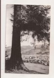 RF204 - Carte Postala - Campulung Moldovenesc, circulata 1964