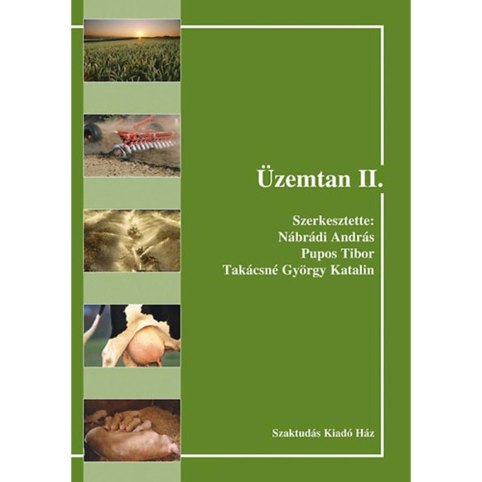 &Uuml;zemtan II. - Pupos Tibor
