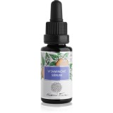 Nobilis Tilia Intenzivn&iacute; p&eacute;če ser cu vitamine 20 ml