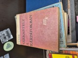 Varkastely a karpotokban lb. maghiara vintage