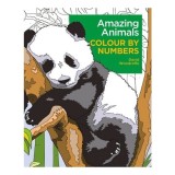 Amazing Animals Colour by Numbers