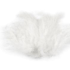 Set 20 pene decorative strut, lungime 9-16 cm, Alb