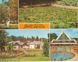 CPIB 16202 CARTE POSTALA - BAILE FELIX. MOZAIC