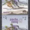 Nepal 2014 - Jocurile Olimpice de Iarnă - Soci, Pereche cu diferentă de nuanță, MNH