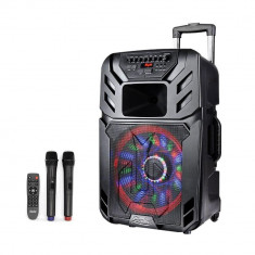 Sistem Karaoke portabil ZEPHYR ZP 9999 A12, 12 ?oli, Baterie incorporata, Bluetooth, 2 microfoane fara fir foto