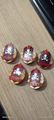 insigne pompieri 9 foto