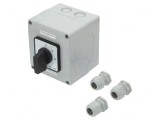 Comutator cu Came 100A 3 Poli IP65