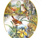 FARFURIE DECORATIVA PORTELAN REICHENBACH BRADEX EDITIE LIMITATA DESIGN URSULA BAND PASARI STURZI IN STUF