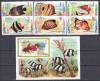 DB1 Fauna Marina Pesti Ras al Khaima 6 v. + SS MNH, Nestampilat