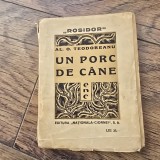 Un Porc de Cane - Al.O.Teodoreanu