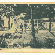 1039 - BAILE MALNAS, Covasna, Stranduk, Romania - old postcard - used - 1936
